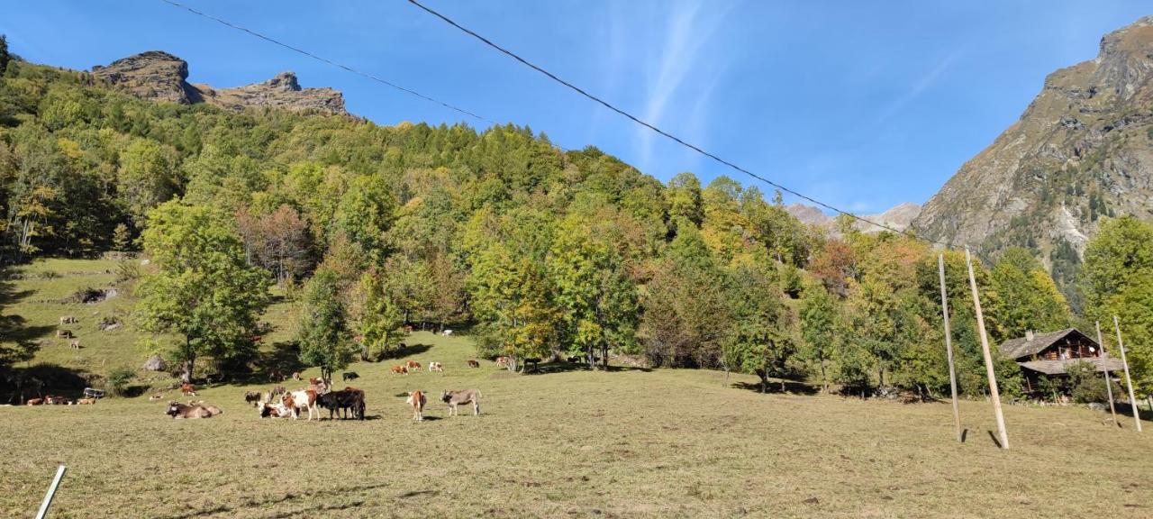 Agriturismo Alagna Ngoại thất bức ảnh