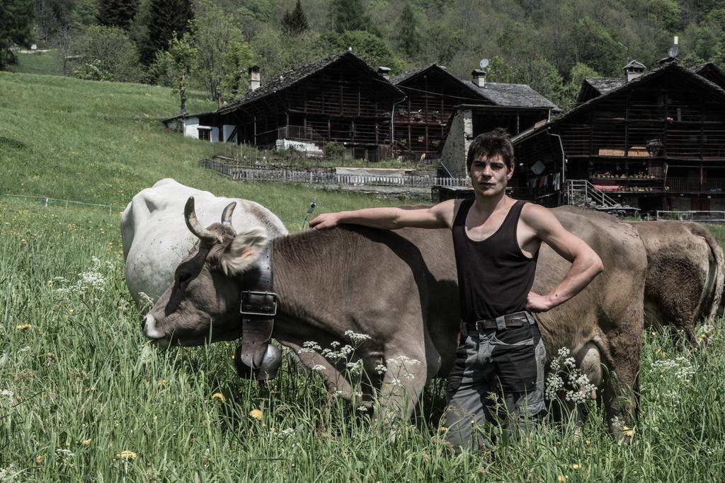 Agriturismo Alagna Ngoại thất bức ảnh